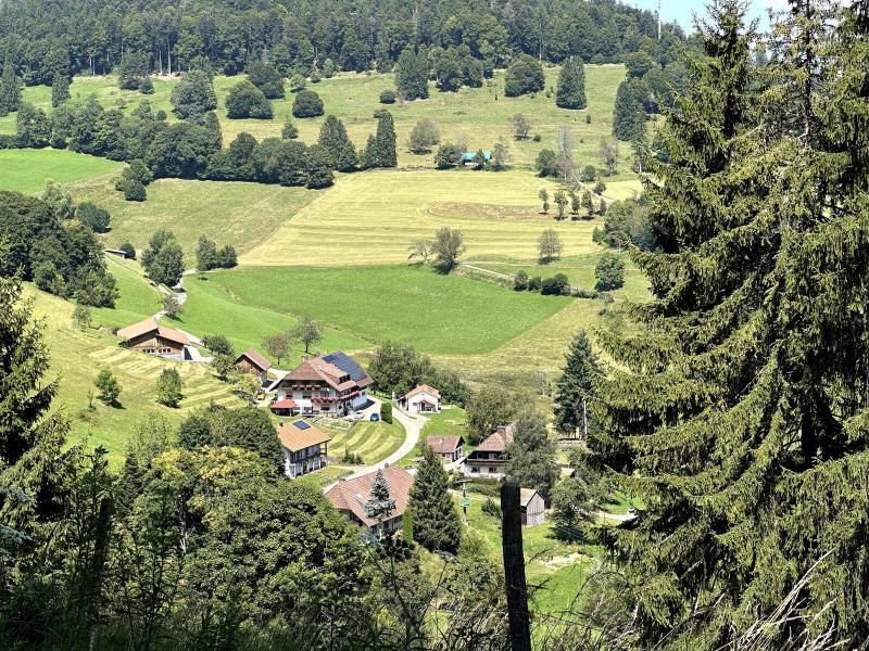 Another view of Käsern