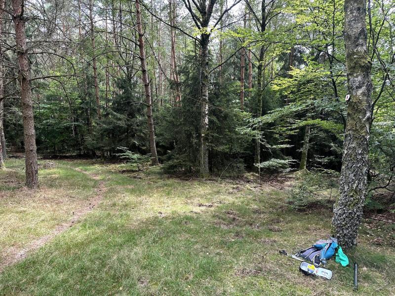 Antenna setup and spot